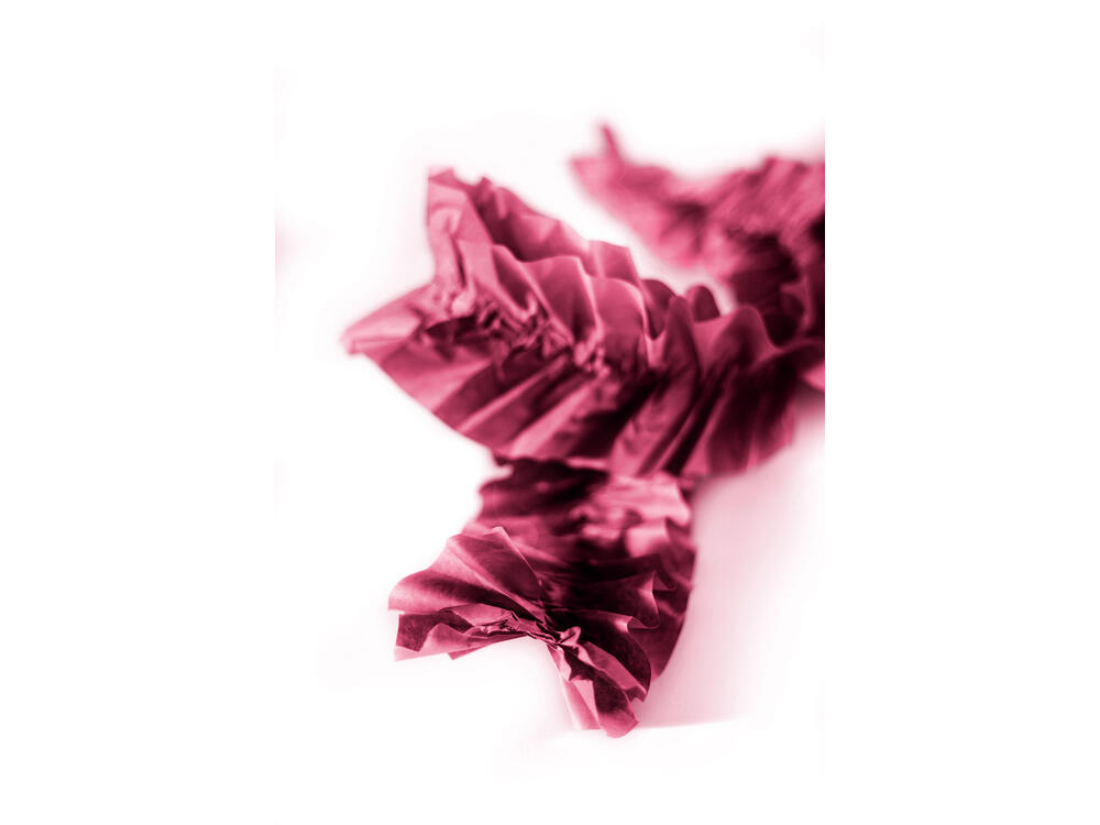 PAPPAPILL_V5
