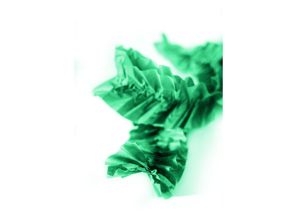 PAPPAPILL_V6