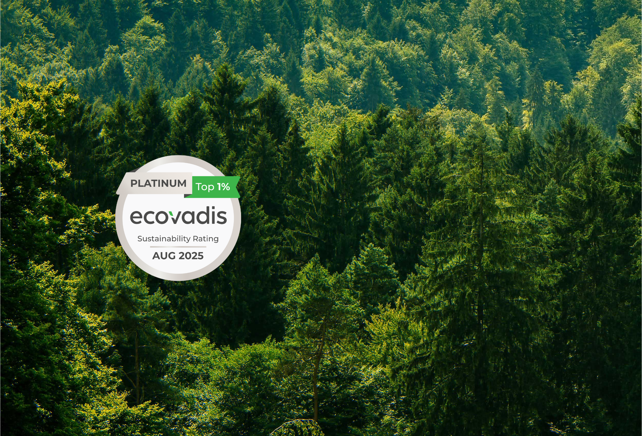Forêt et médaille Ecovadis Platinum Maillaj 2025