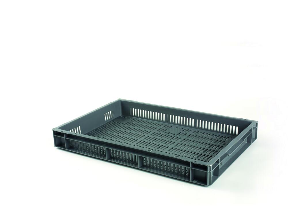 BACEURO_V8