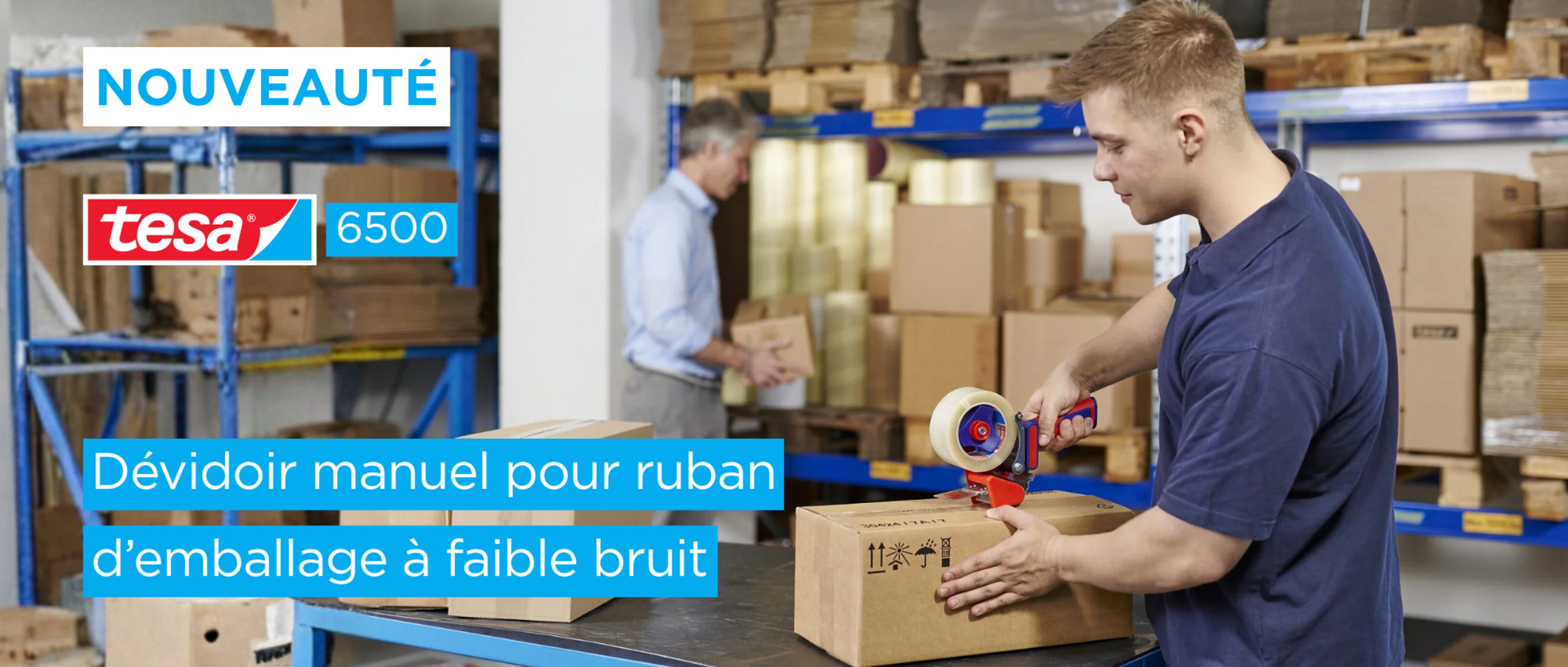 tesa-6500