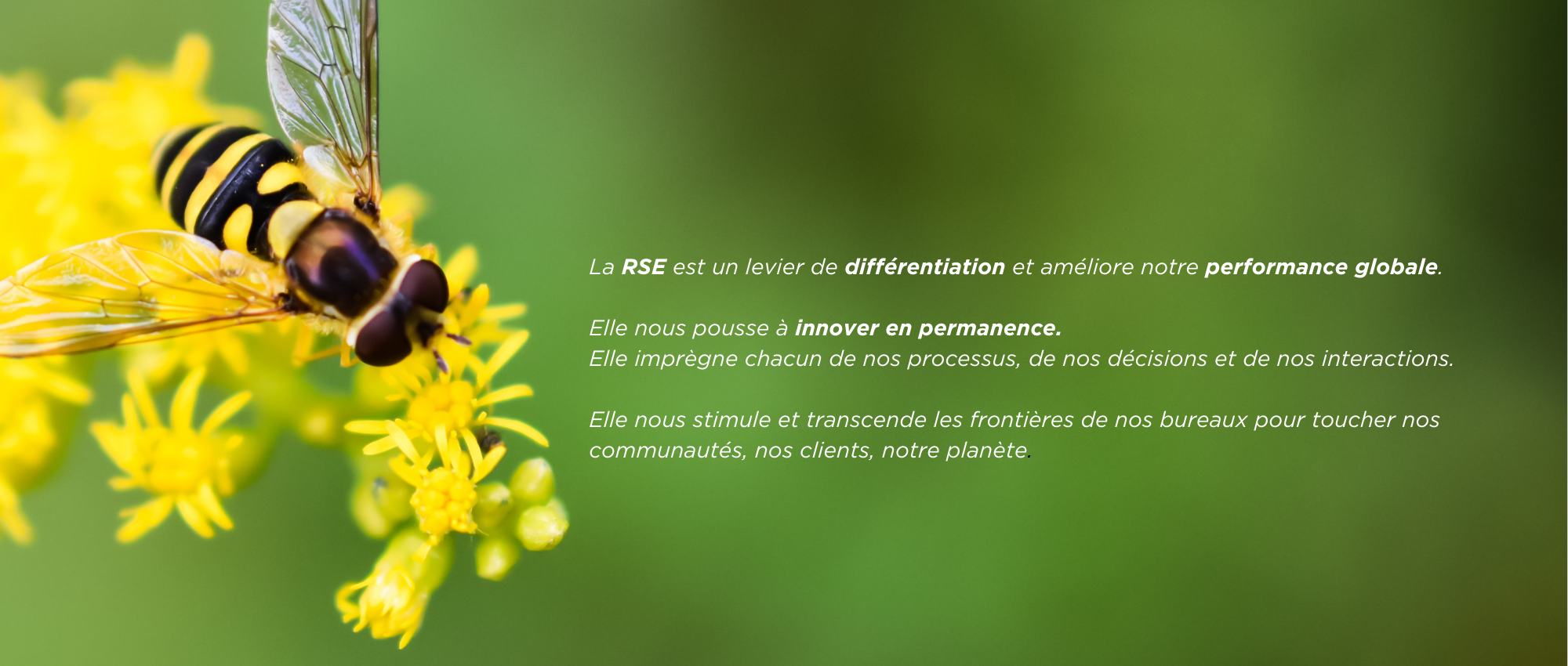 Nos valeurs et engagements