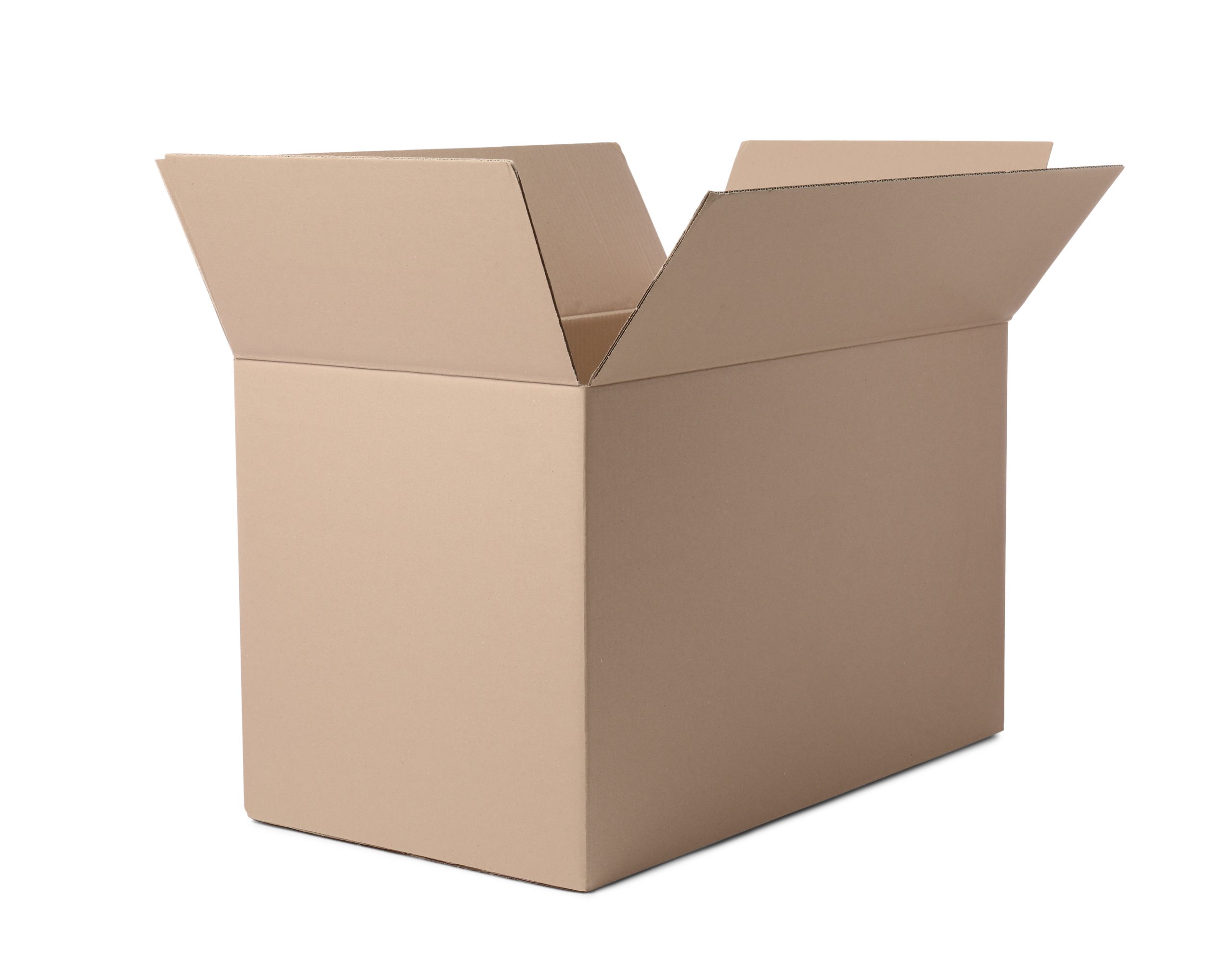 Carton SC 16 à 28cm long int