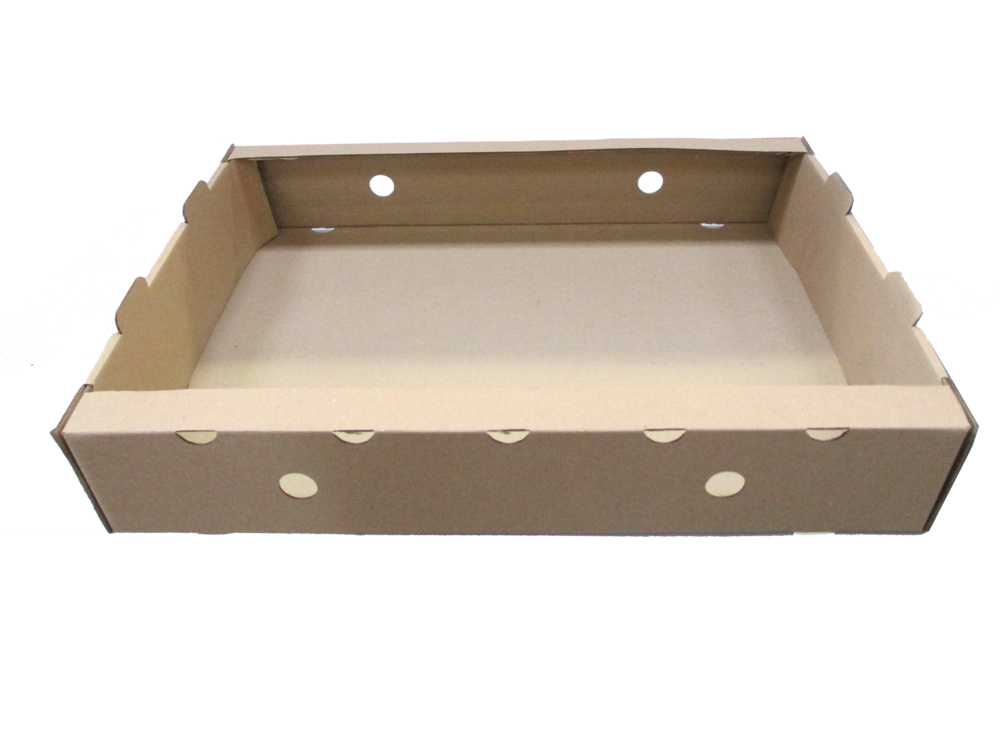 PLATVIEN